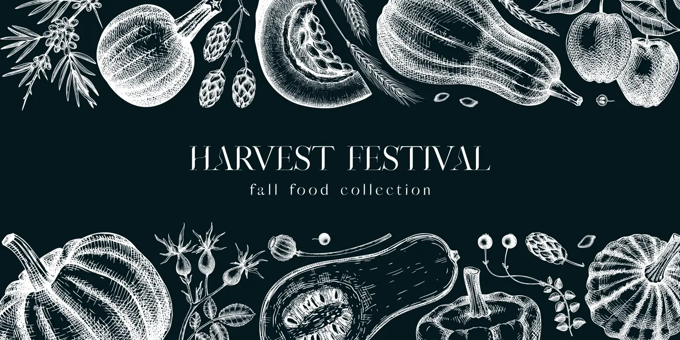 Sketched pumpkins banner on chalkboard. Thanksgiving day vintage design. Autumn plants and fruit drawings. Vector vegetables, butternut squash, marrow, pumpkin sketches. Fall harvest background Illustration